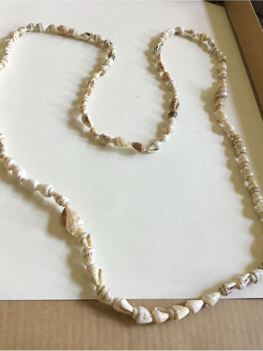 Natural Long Shell Bead Necklace - Cream and Tan